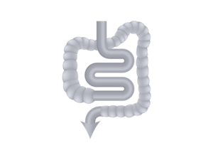 icon-source-fiber-silver
