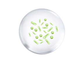 probiotic-nan-expert