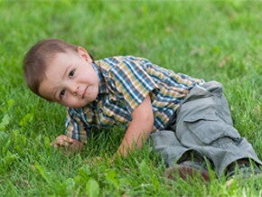 12 Meses 12 Meses