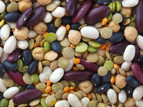 Importancia del consumo de leguminosas en los niños Importancia del consumo de leguminosas en los niños