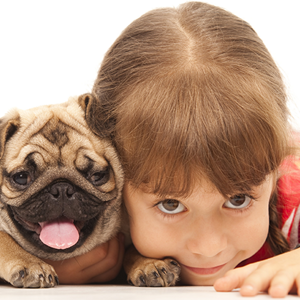 Los animales como parte de la estimulación de los hijos Los animales como parte de la estimulación de los hijos