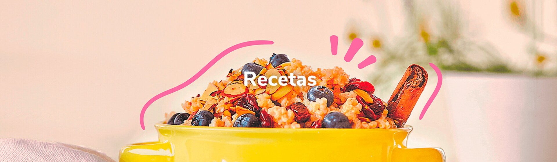 Recetas