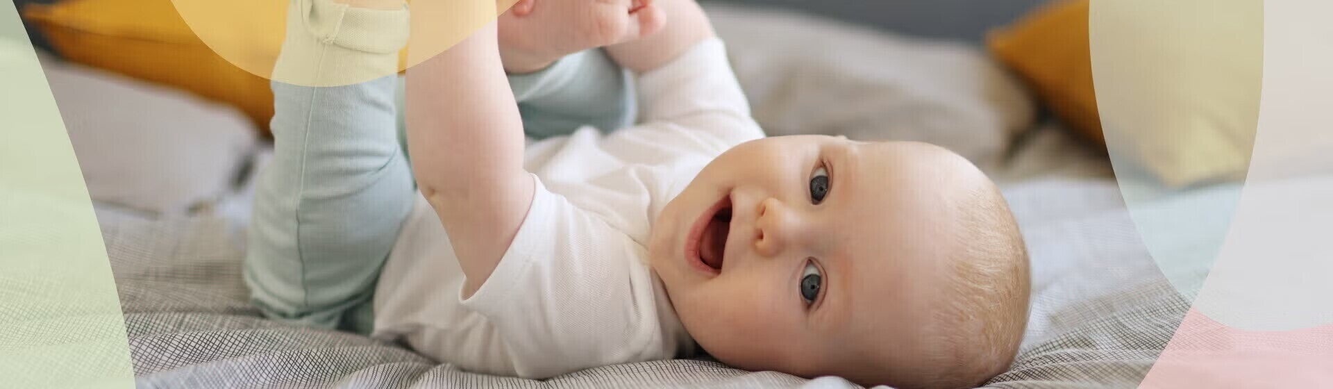 4 a 6 meses
