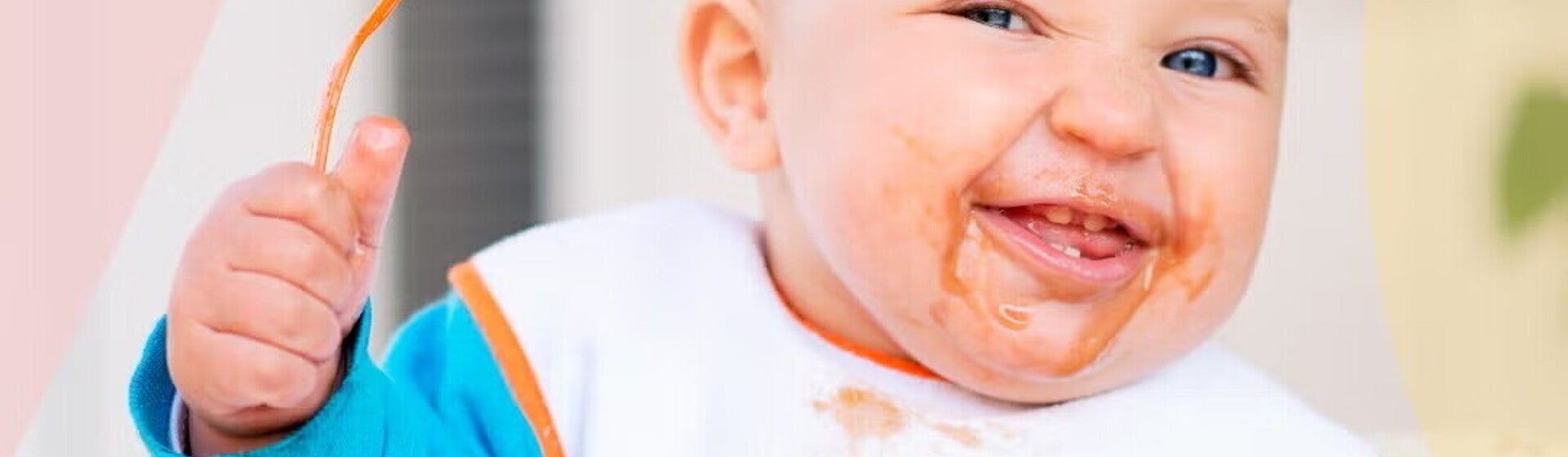 6 a 8 meses 6 a 8 meses