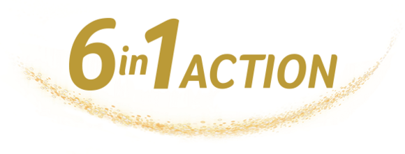 6in1action