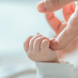 compromiso de calidad 